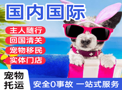 东营胜利空运公司国际宠物托运 【国